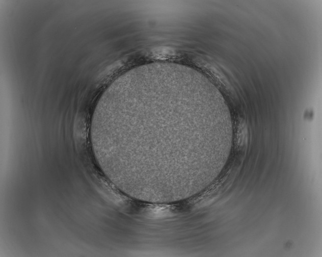 X0000096680569200802261519