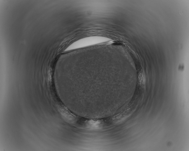 X0000096680570200802261519