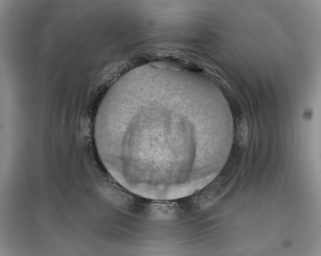 X0000096680571200802261519