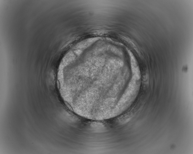 X0000096680572200802261519