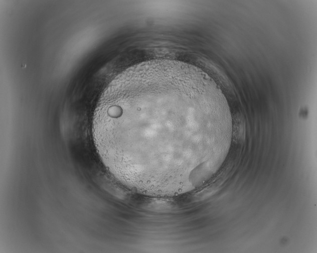 X0000096680573200802261519