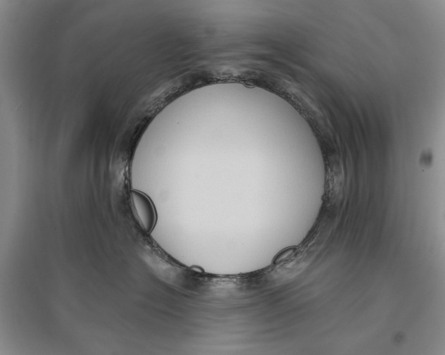 X0000096680574200802261519