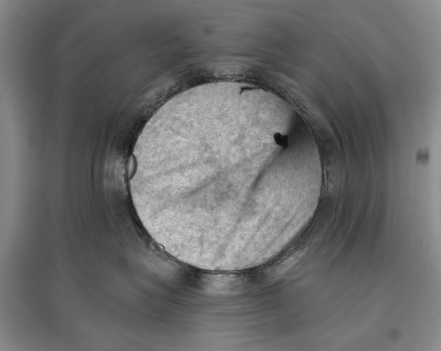 X0000096680575200802261519