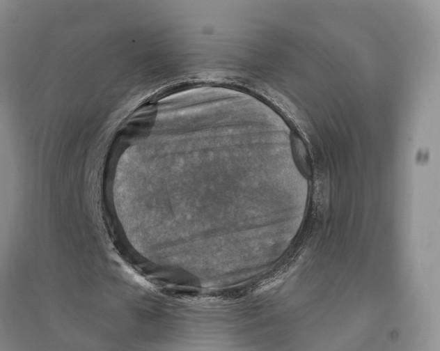 X0000096680577200802261518