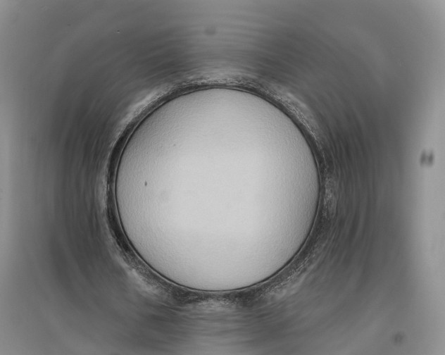 X0000096680578200802261518