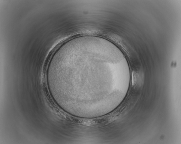 X0000096680579200802261518