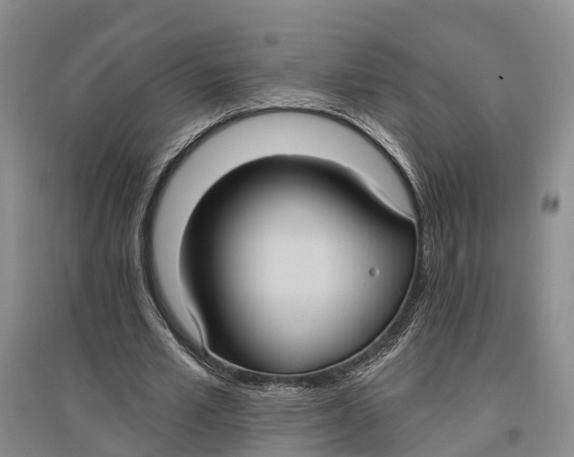 X0000096680581200802261518