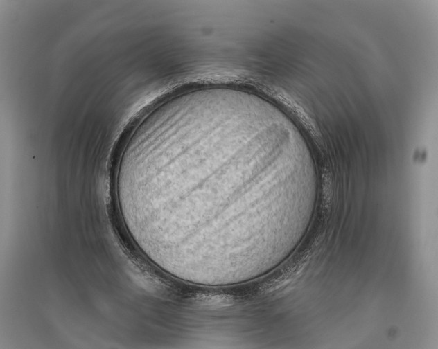 X0000096680582200802261518