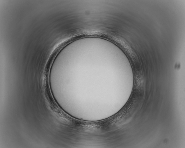 X0000096680583200802261518