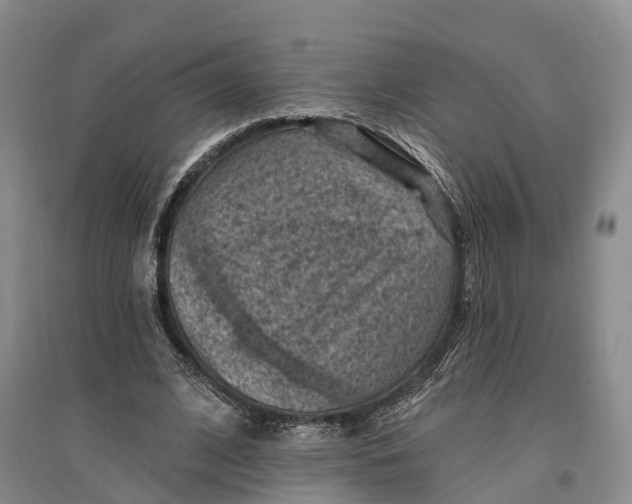 X0000096680584200802261518