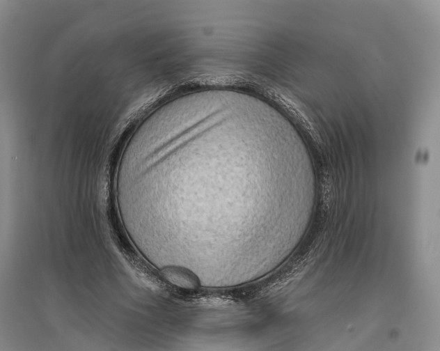 X0000096680586200802261518