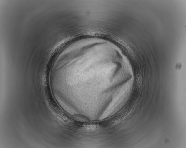 X0000096680587200802261518