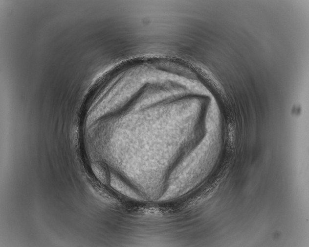 X0000096680588200802261518