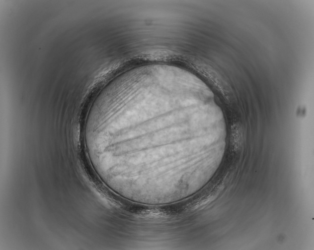 X0000096680589200802261518