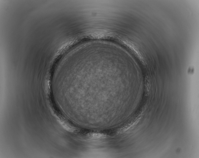 X0000096680590200802261518