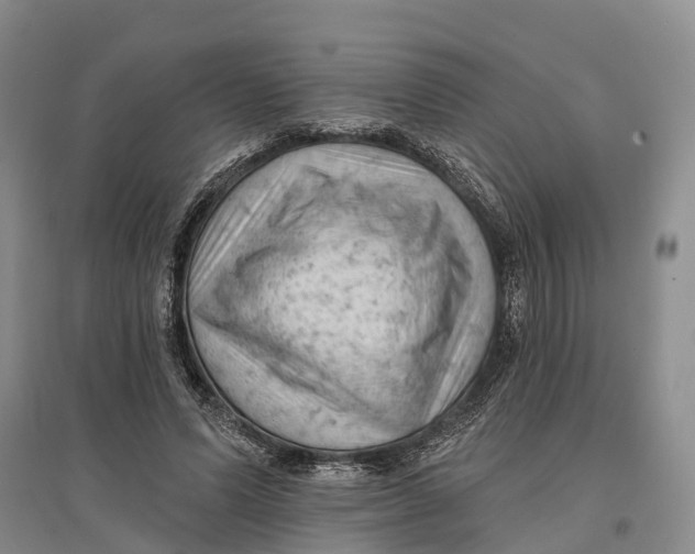 X0000096680591200802261518