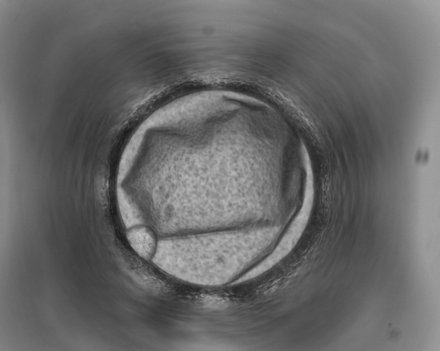 X0000096680592200802261518