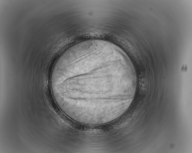 X0000096680593200802261518