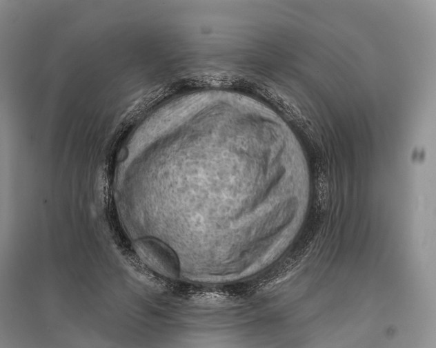 X0000096680594200802261518