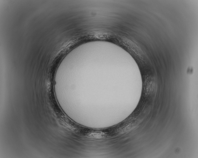 X0000096680595200802261518