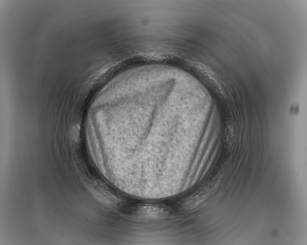 X0000096680596200802261518