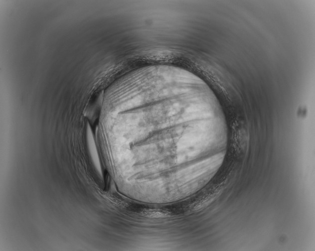 X0000096680597200802261518