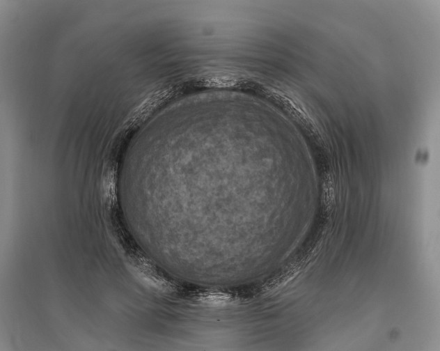 X0000096680598200802261518