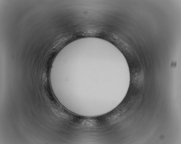 X0000096680599200802261518