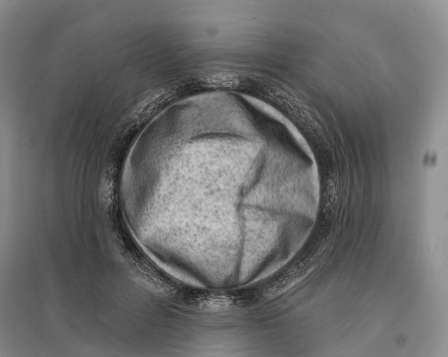 X0000096680600200802261518