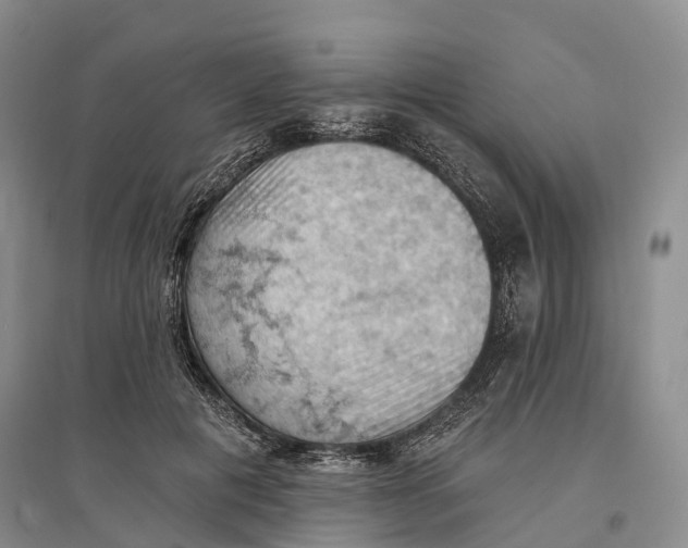 X0000096680601200802261518