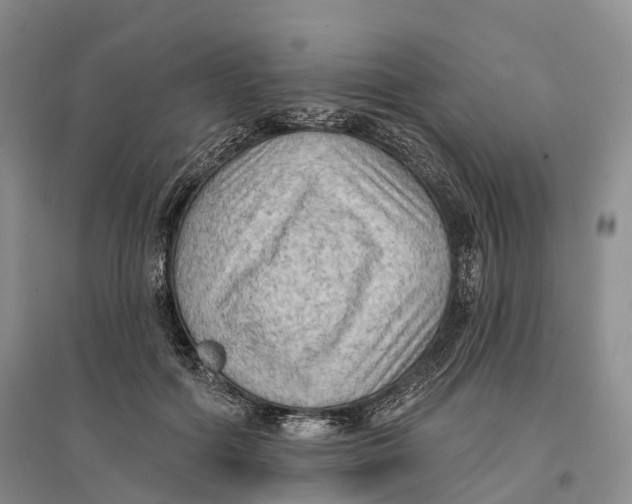 X0000096680602200802261518