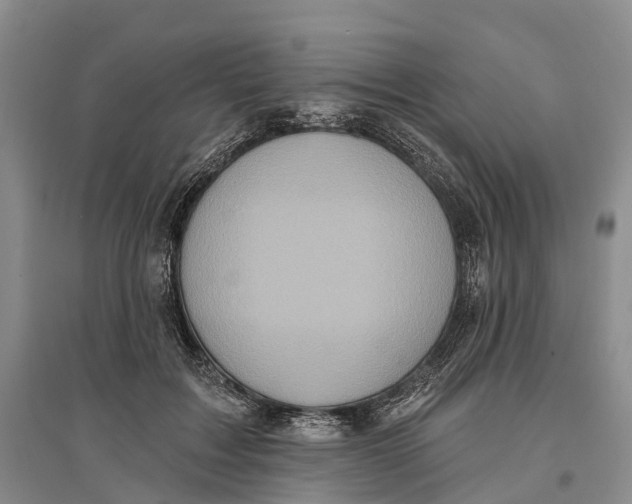 X0000096680603200802261518