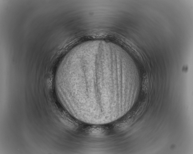 X0000096680604200802261518