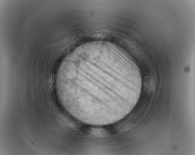 X0000096680605200802261518