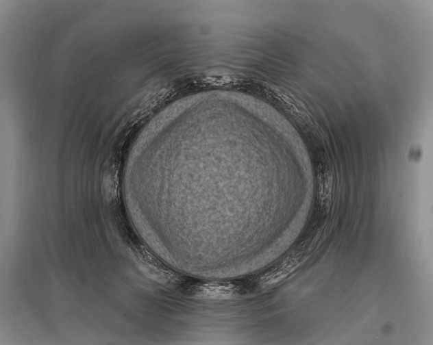 X0000096680606200802261518