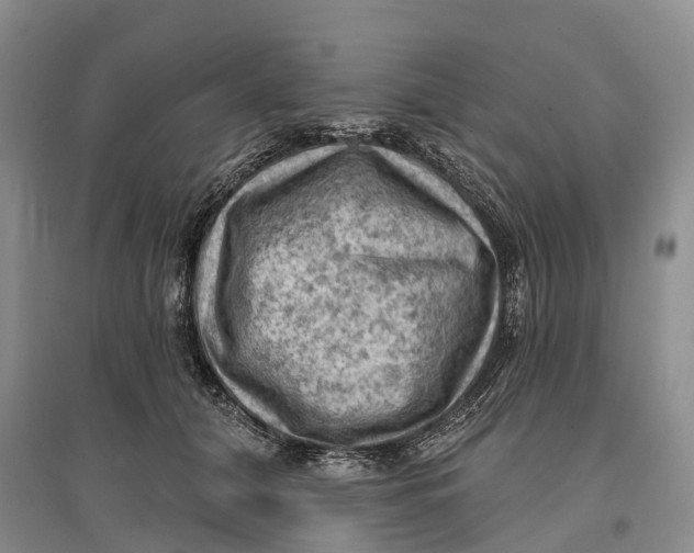 X0000096680608200802261518