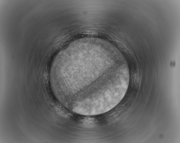 X0000096680609200802261518