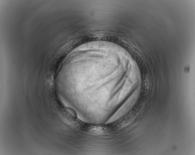 X0000096680611200802261518