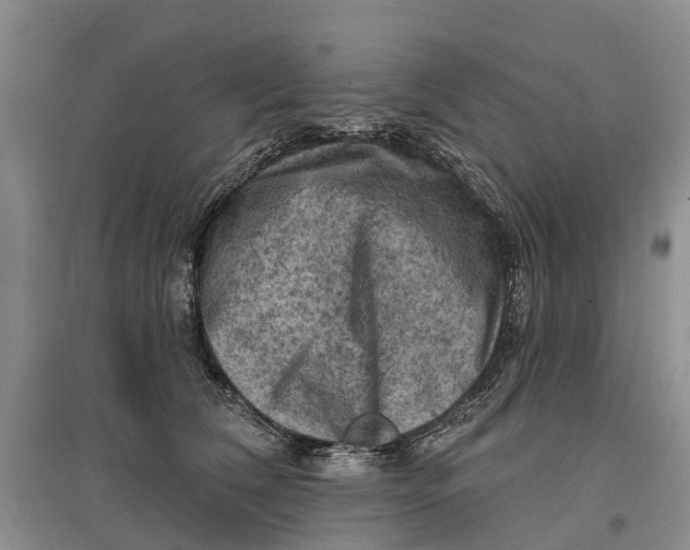 X0000096680612200802261518