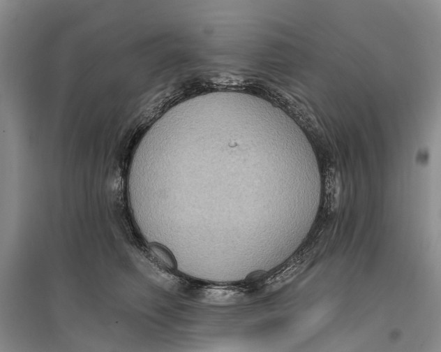 X0000096680614200802261518