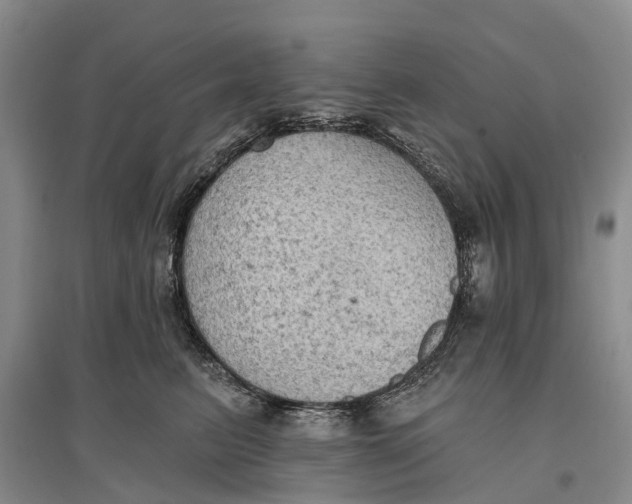 X0000096680615200802261518