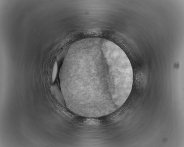 X0000096680617200802261518