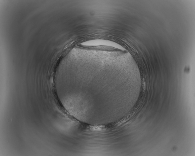 X0000096680618200802261518