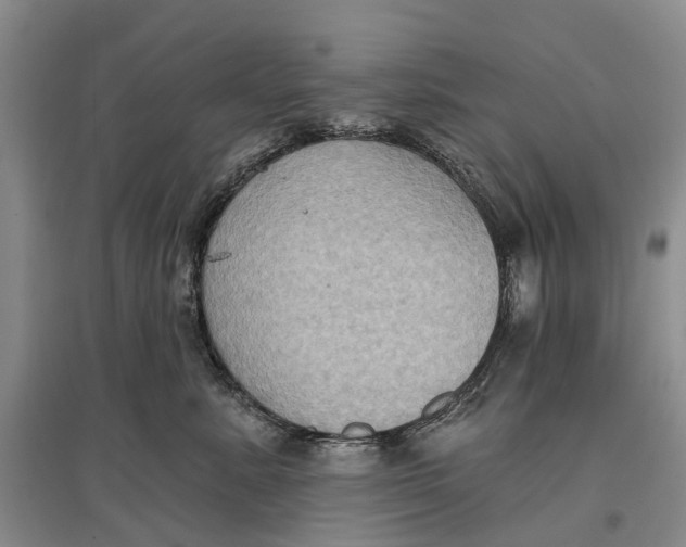 X0000096680619200802261518