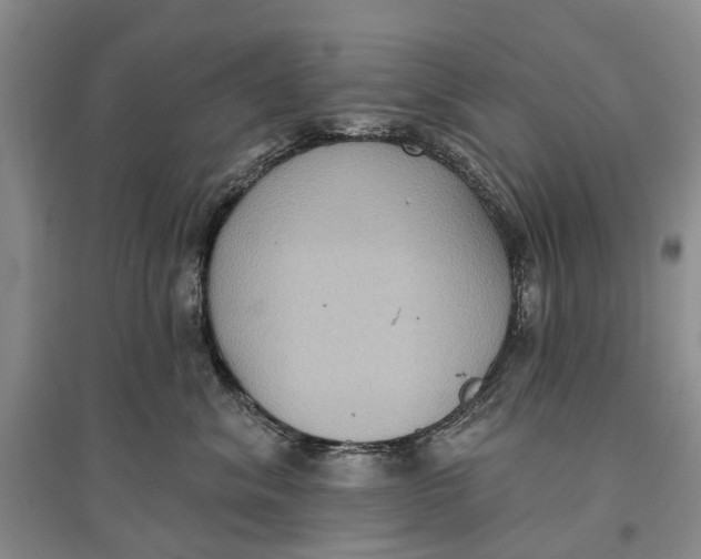 X0000096680620200802261518