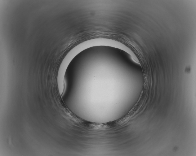 X0000096680621200802261518