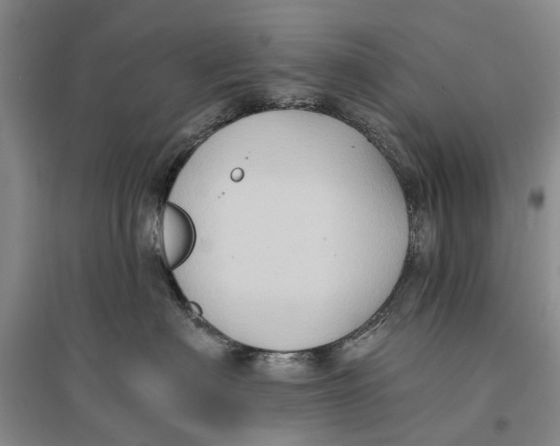 X0000096680622200802261518