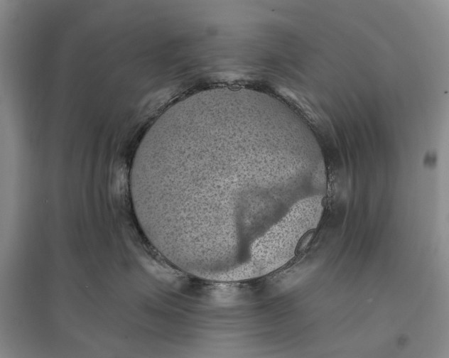 X0000096680623200802261518