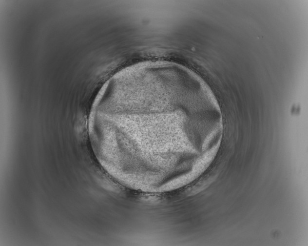 X0000096680624200802261517