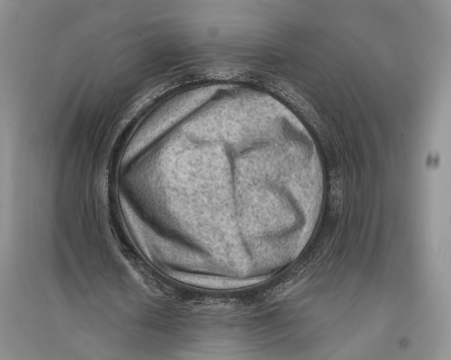 X0000096680626200802261517